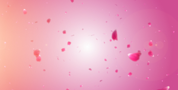 Falling Petals Falling Petals