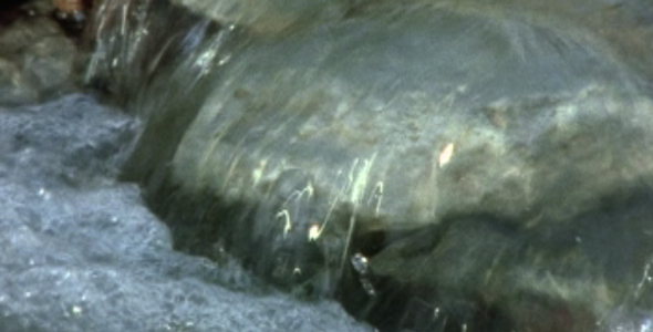 Small Water Rapid Small Water Rapid