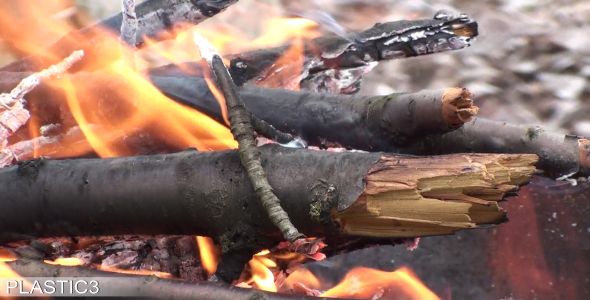 Burning Fire Wood HD Burning Fire Wood HD