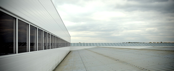 maratshevchenko
