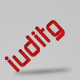 iuditg