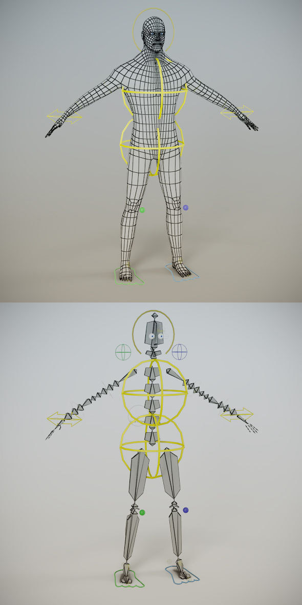 Low Poly Male Mesh ( Human Rig ) - 3DOcean Item for Sale
