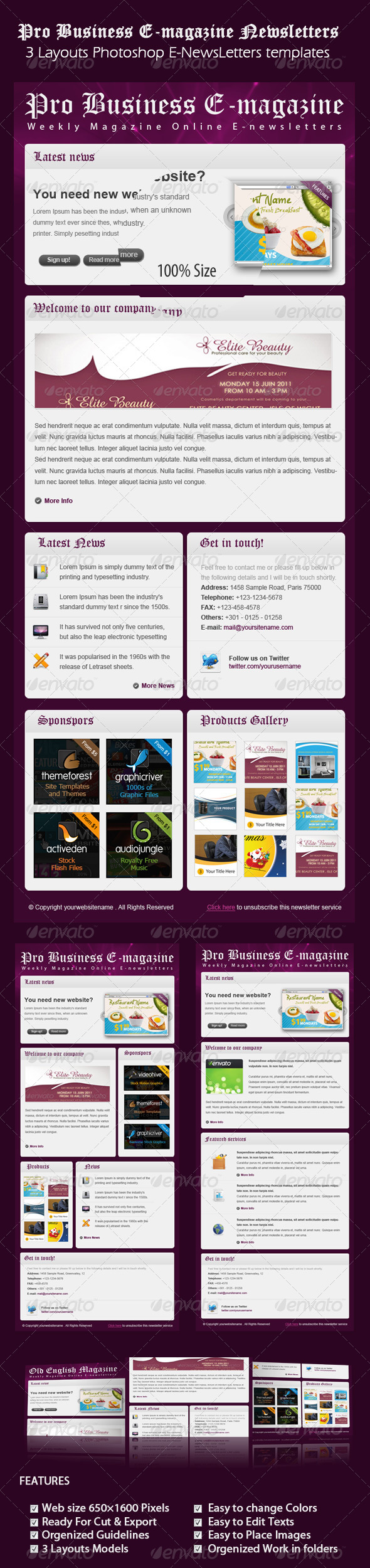 Professional Business E-Magazine newsletters Professional Business E-Magazine newsletters