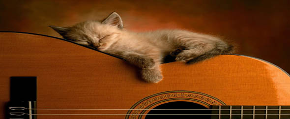 Dream%20on%20a%20guitar%202