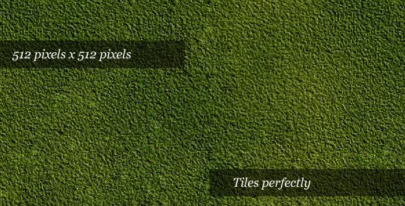 Moss Texture - 3DOcean Item for Sale