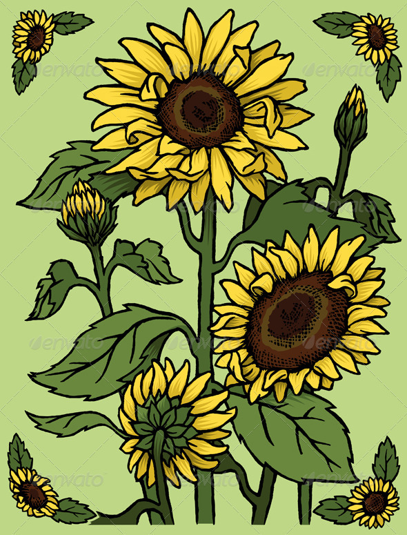 Sunflowers Sunflowers