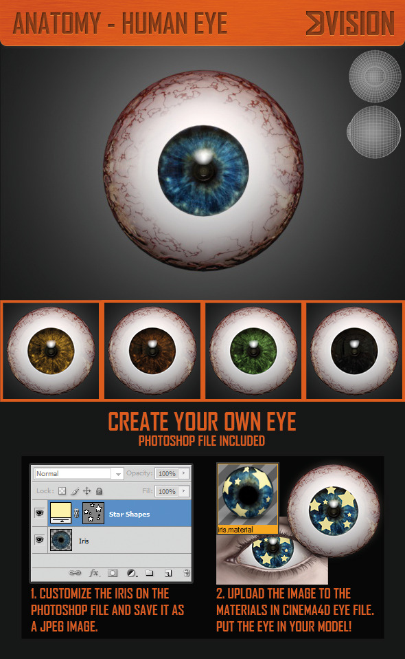 Realistic Human Eye 3D Model - 3DOcean Item for Sale
