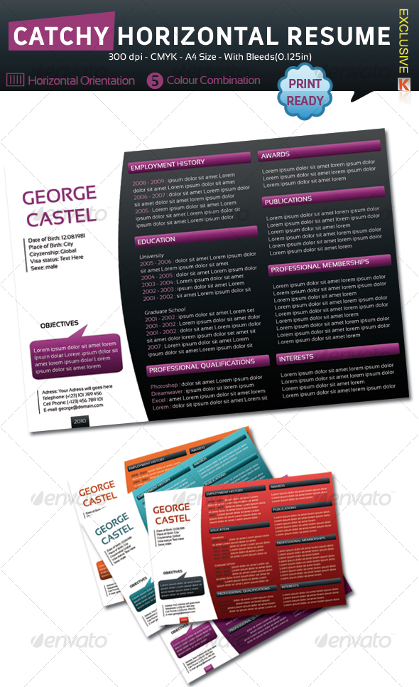 Catchy Horizontal Resume - Resumes Stationery