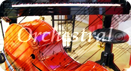 Orchestral
