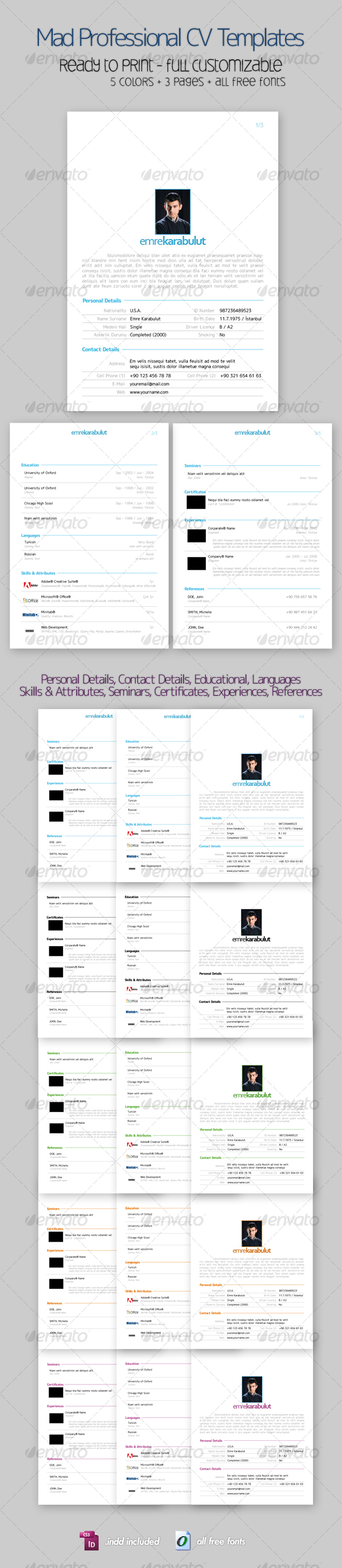 Mad Professional Cv Template with 5 Color, 3 Pages