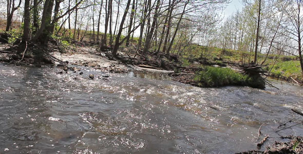 River River