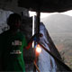 venugopal7239