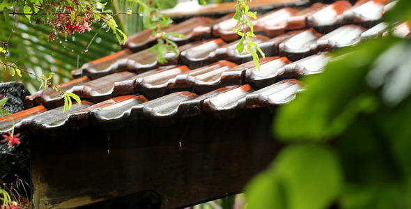 Raindrops On The Roof Raindrops On The Roof