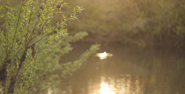 Riverside Riverside