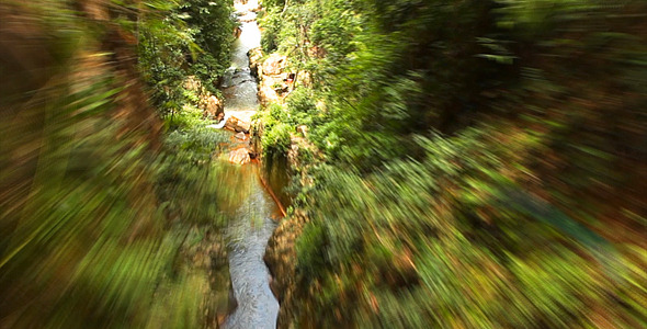 Fast Jungle Flight Fast Jungle Flight