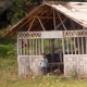 Donate_Palawan