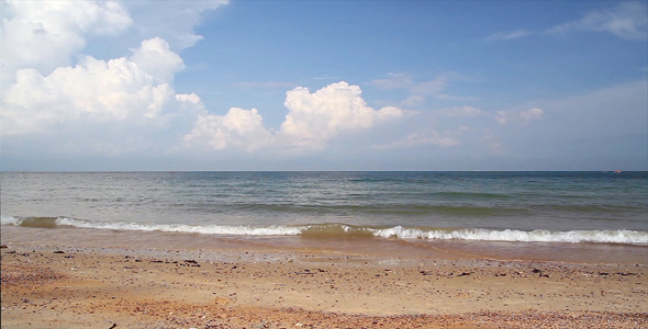 The Beach The Beach