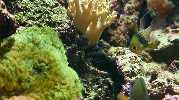 Underwater World Underwater World