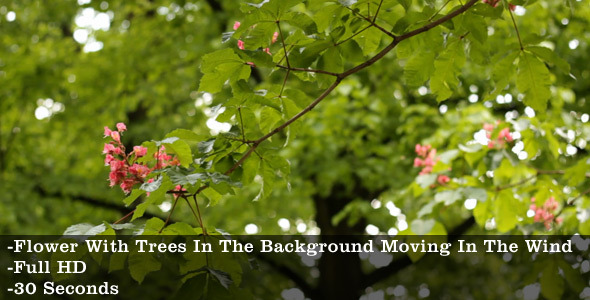 Flower And Trees Moving In The Wind Flower And Trees Moving In The Wind