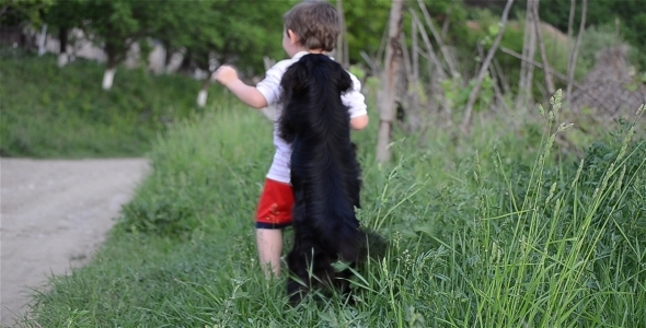 Kid And Dog Playing 2 Kid And Dog Playing 2