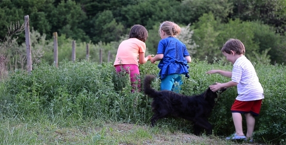 Kids And Dog Kids And Dog