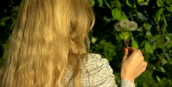 Girl Blows Dandelion Slow Motion Girl Blows Dandelion Slow Motion