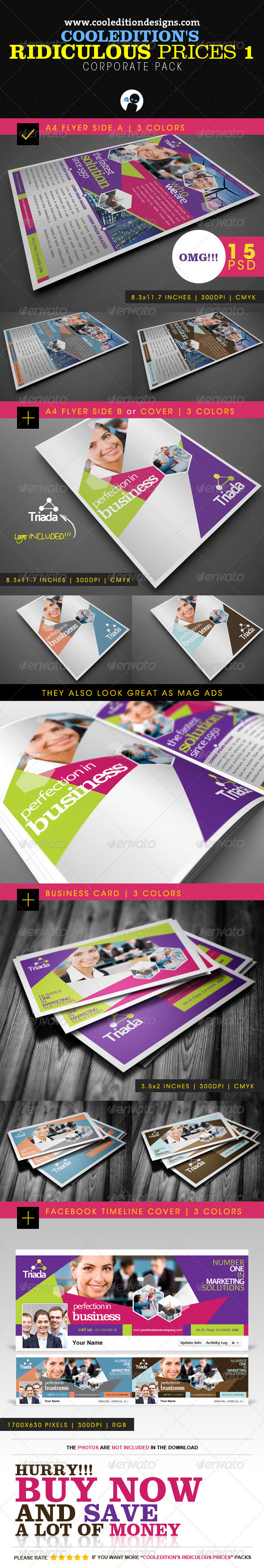 Cooledition's Ridiculous Prices 1 - Corporate Pack - Corporate Flyers