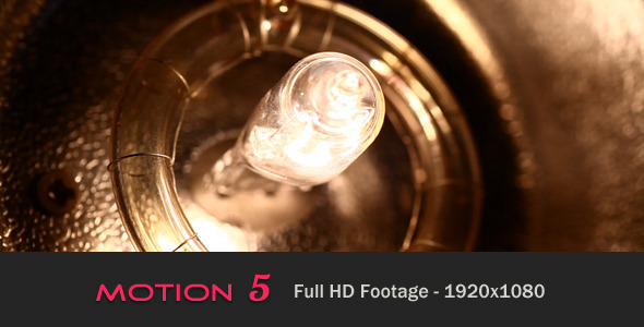 Flash Bulb Flash Bulb