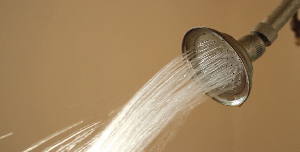 Old Shower Head II Old Shower Head II