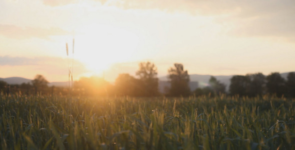 Sunset On The Field Time Lapse Sunset On The Field Time Lapse