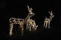 Photo of Christmas in lights | Free christmas images