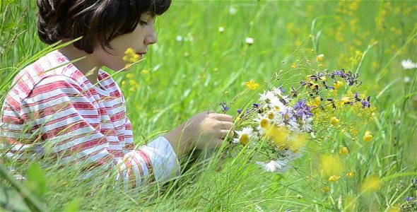 Arranging Flowers Field 1 Arranging Flowers Field 1