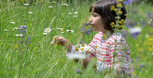 Girl In Flower Field 1 Girl In Flower Field 1
