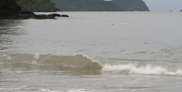 Wave And Floaters Wave And Floaters