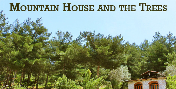 Mountain House And The Trees Mountain House And The Trees