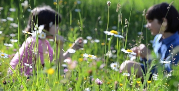 Kids In Beautifull Flower Field b Kids In Beautifull Flower Field b