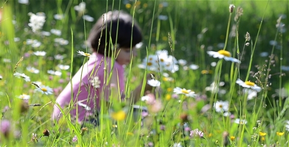 Kids In Beautifull Flower Field A Kids In Beautifull Flower Field A