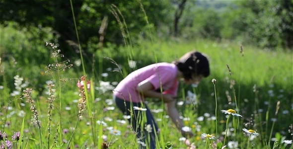Happy Girl In Flower Field Happy Girl In Flower Field