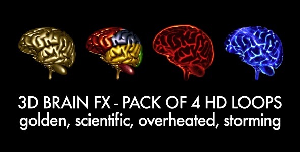 Brain FX Pack Of 4 Loops Brain FX Pack Of 4 Loops