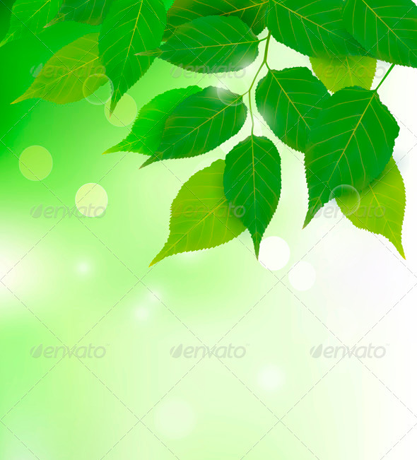 Nature background with fresh green leaves Vector Nature background with fresh green leaves Vector