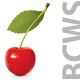 BCWS