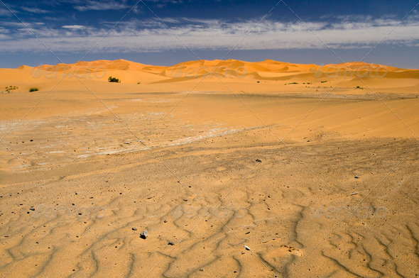 The Desert.