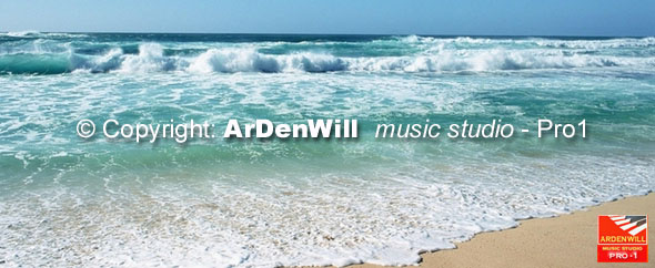 Adw pro1 2012