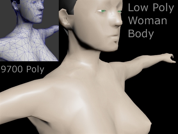 Low Poly Woman Body Low Poly Woman Body