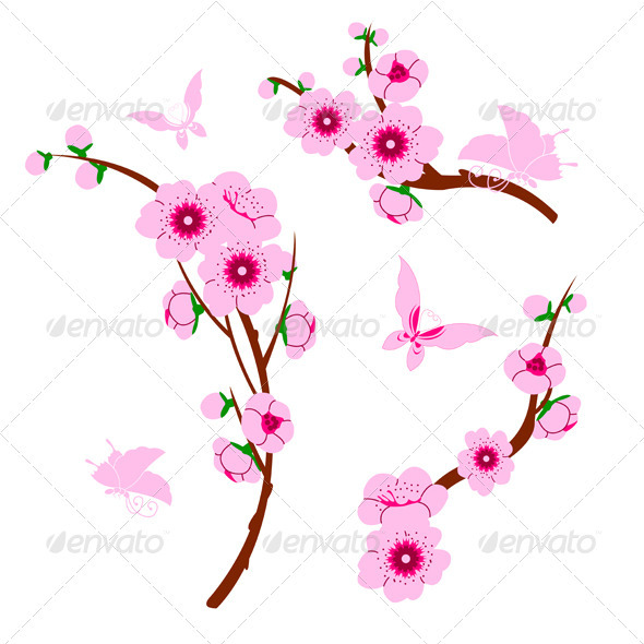  Lukisan  Pohon Bunga  Sakura   Fixride com