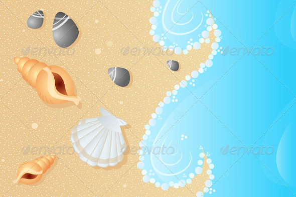 Seashells on a Beach Seashells on a Beach