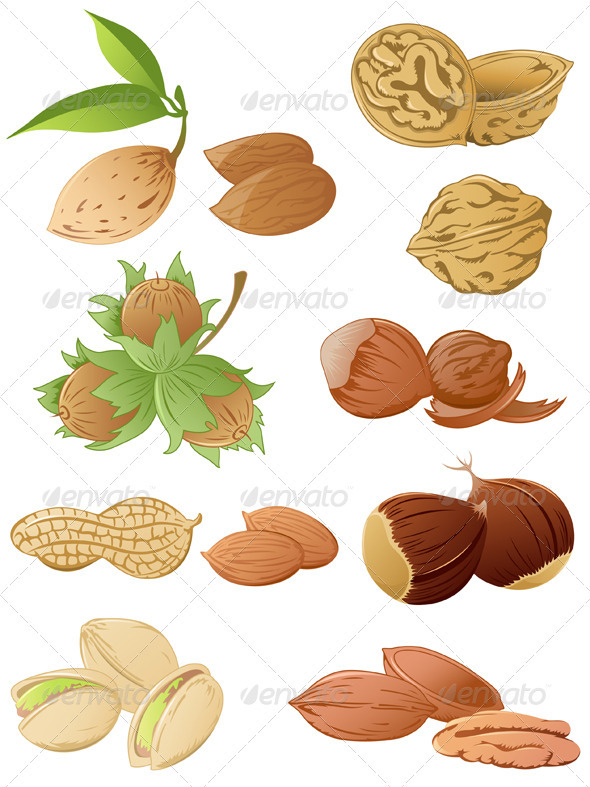Set of Various Nuts Set of Various Nuts