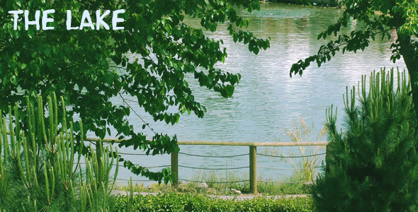 The Lake The Lake