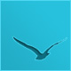 webdesignpeople