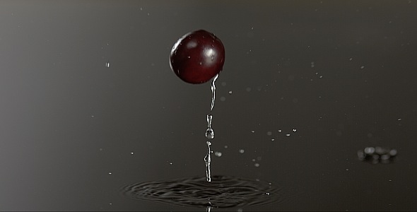 VideoHive Cranberry is Falling on a Wet Surface 9832244 VideoHive Cranberry is Falling on a Wet Surface 9832244